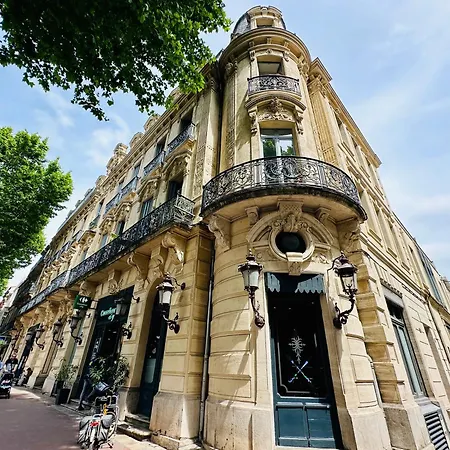 Duplex T2 De Haut-standing